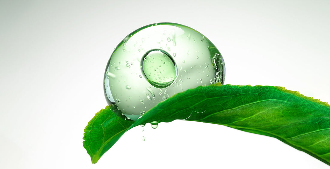 SUE Y. NABI’S 5 SKINCARE PRODUCTS TO LIVE BY